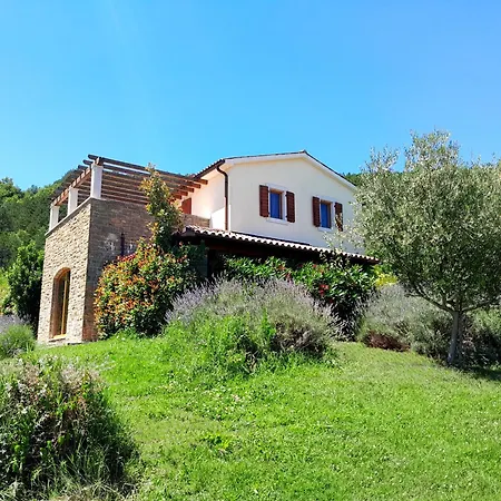 Dol Villa *